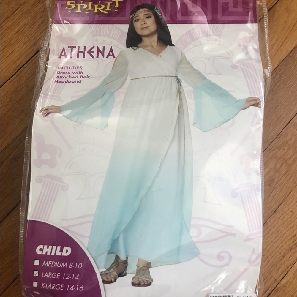 Athena Costume